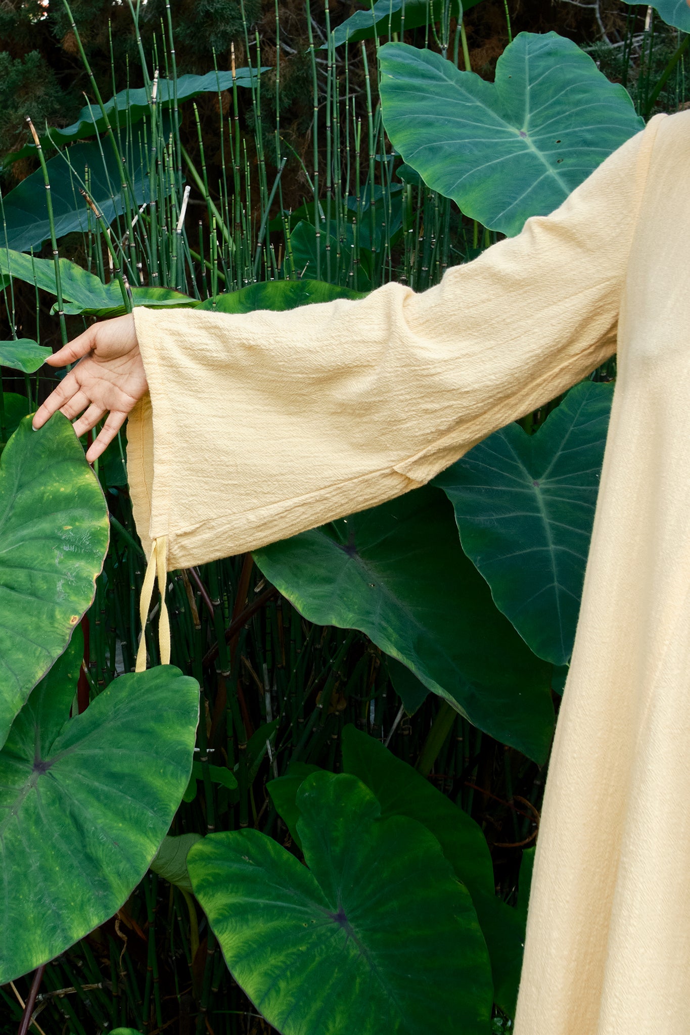 Mai Midi